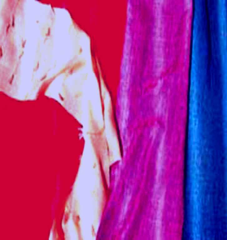 SubjectCoach | Sonya's Textile Gallery and Studio