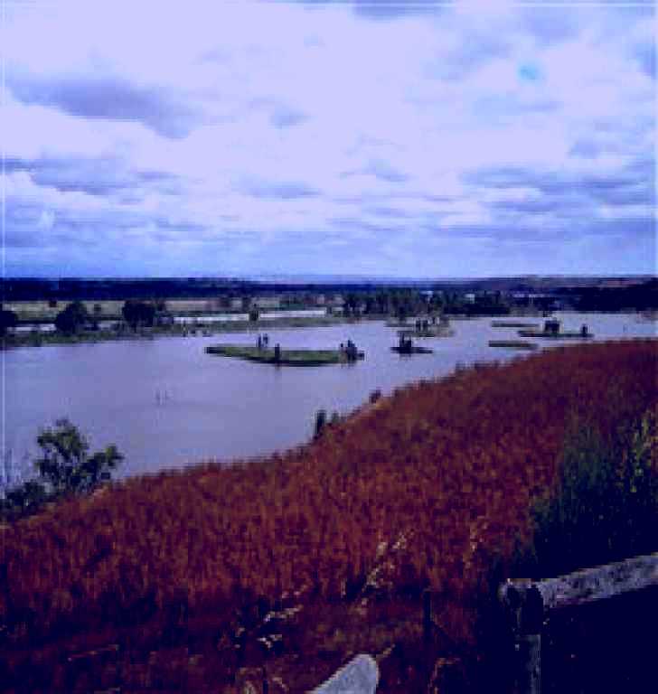 SubjectCoach | Sunnyside Reserve Lookout