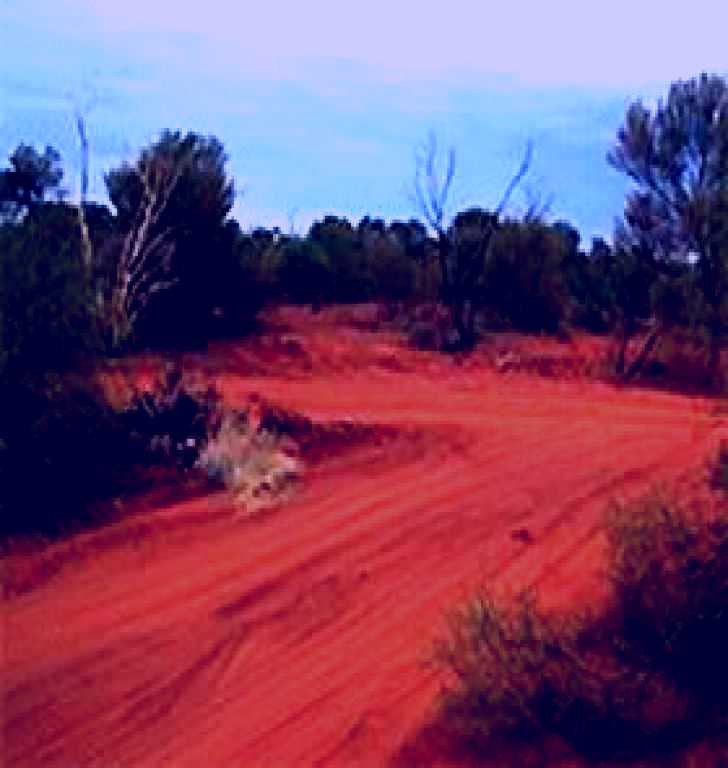 SubjectCoach | Tallaringa Conservation Park