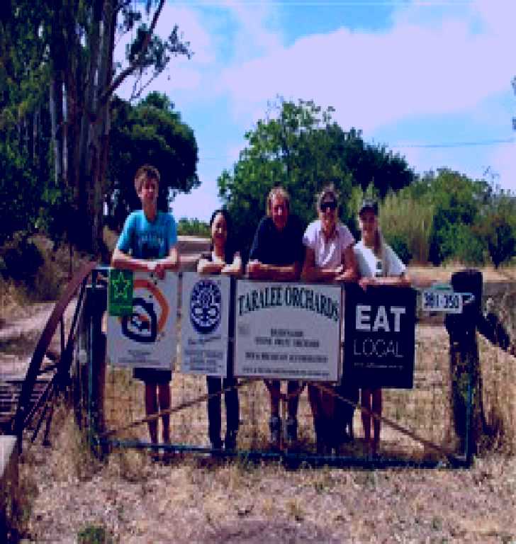 SubjectCoach | Taralee Orchards