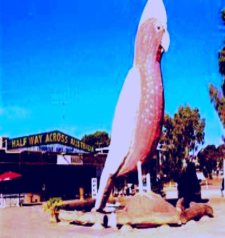 SubjectCoach | The Big Galah