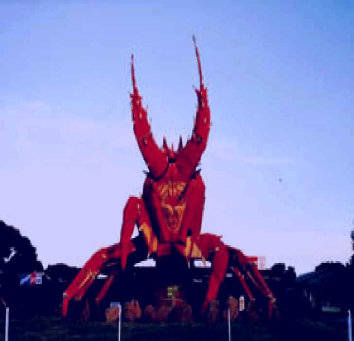 SubjectCoach | The Big Lobster