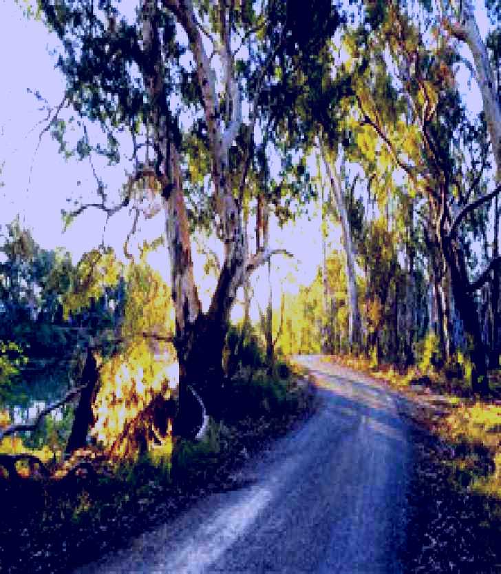 SubjectCoach | Alton Gallery - Echuca Moama Artists