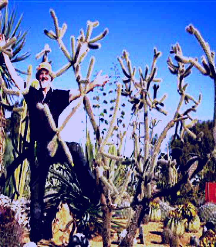 SubjectCoach | Cactus Country