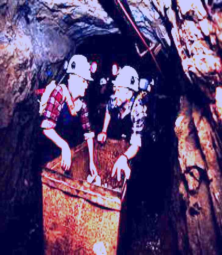 SubjectCoach | Central Deborah Gold Mine