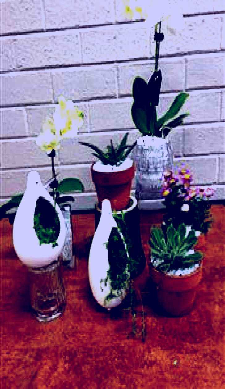 SubjectCoach | Cobram Florist