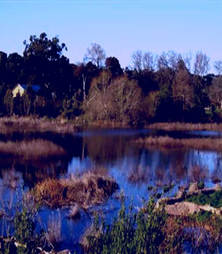 SubjectCoach | Coolart Wetlands and Homestead