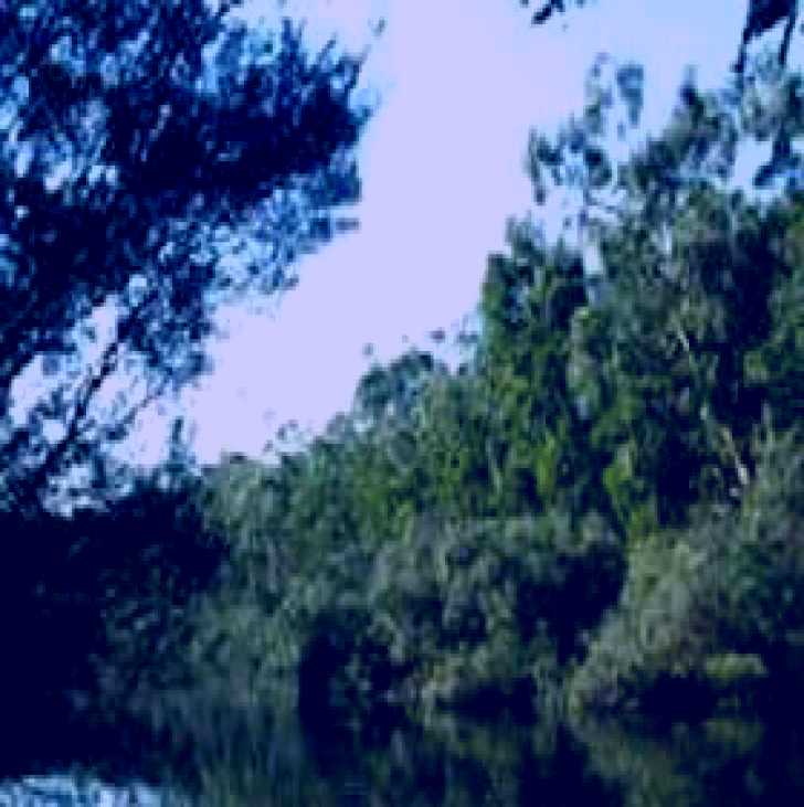 SubjectCoach | Crawford River Regional Park