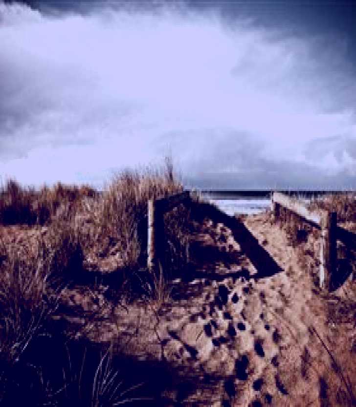 SubjectCoach | Gourmet Photo Travels