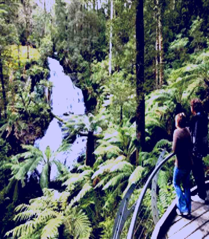 SubjectCoach | Great Otway National Park