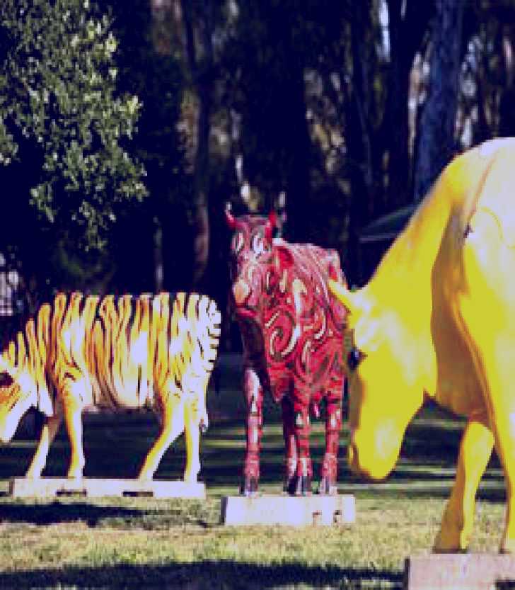 SubjectCoach | Greater Shepparton's Moooving Art