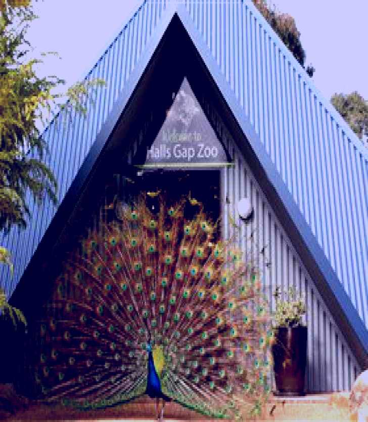 SubjectCoach | Halls Gap Zoo