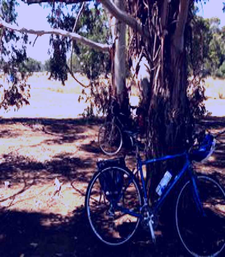 SubjectCoach | Murchison Rail Trail