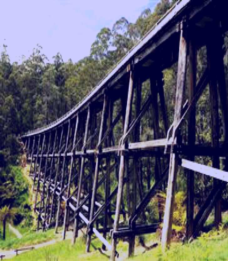 SubjectCoach | Noojee Trestle Bridge