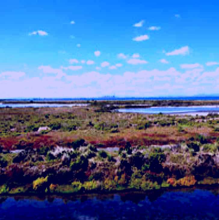 SubjectCoach | Point Cook Coastal Park