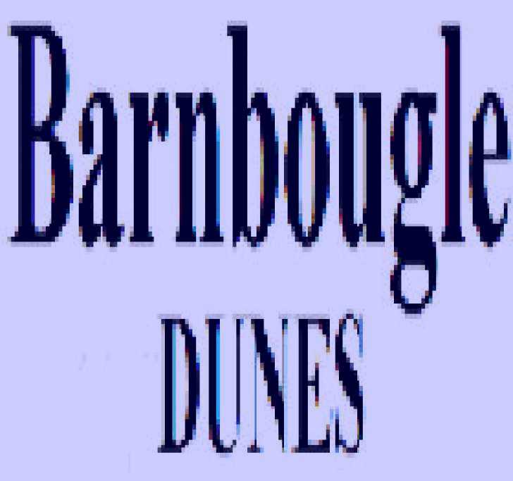 SubjectCoach | Barnbougle Dunes