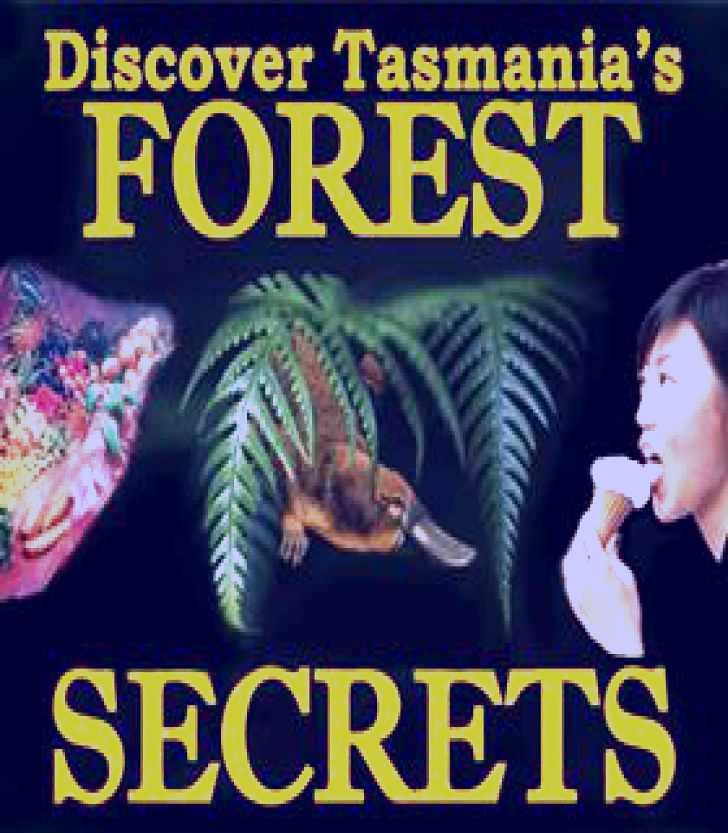 SubjectCoach | FOREST SECRETS