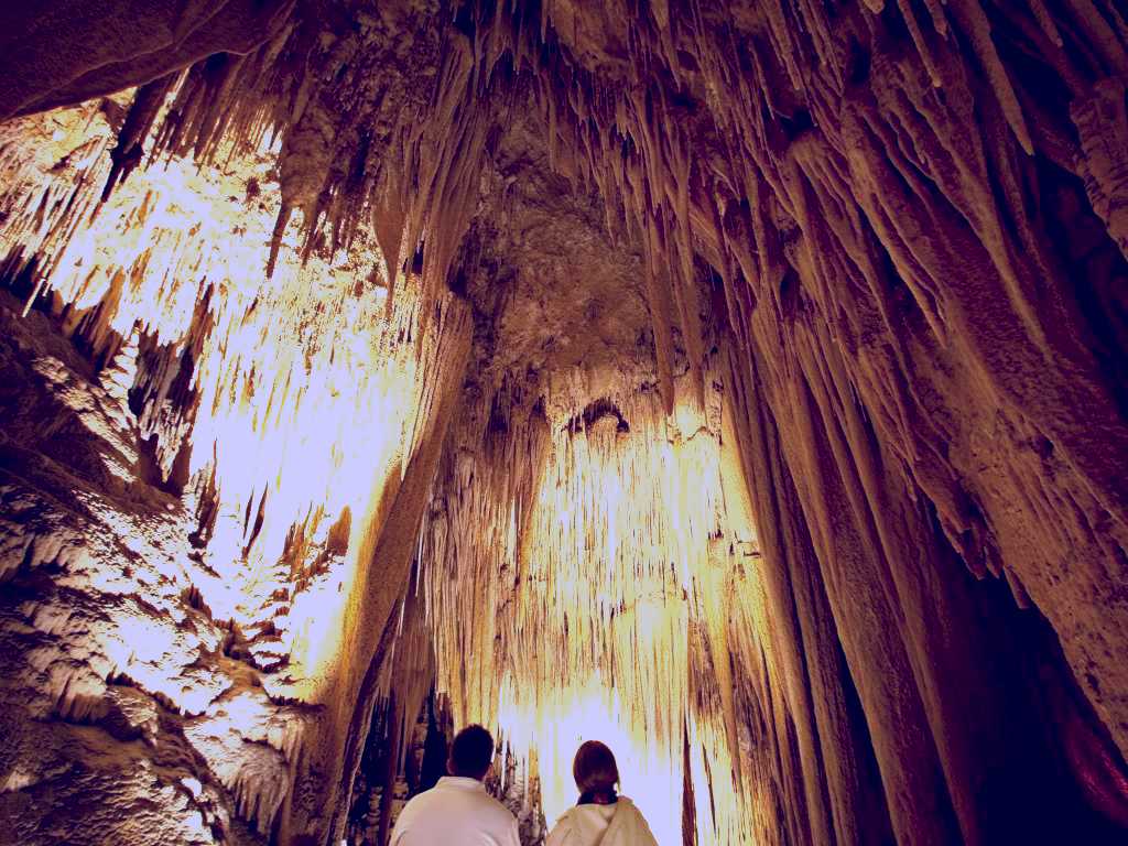 SubjectCoach | Hastings Caves and Thermal Springs