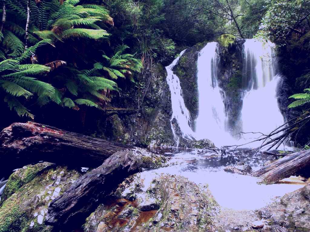 SubjectCoach | Hogarth Falls