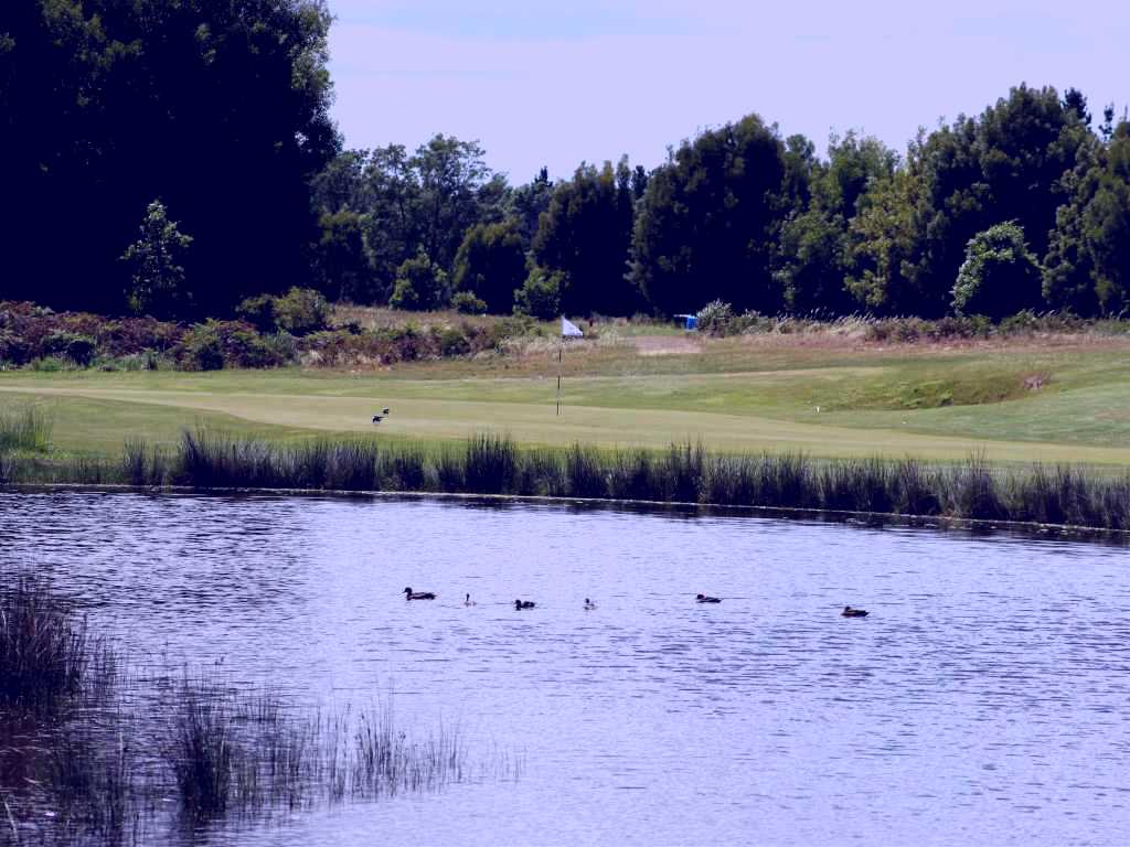 SubjectCoach | Llanherne Golf Club