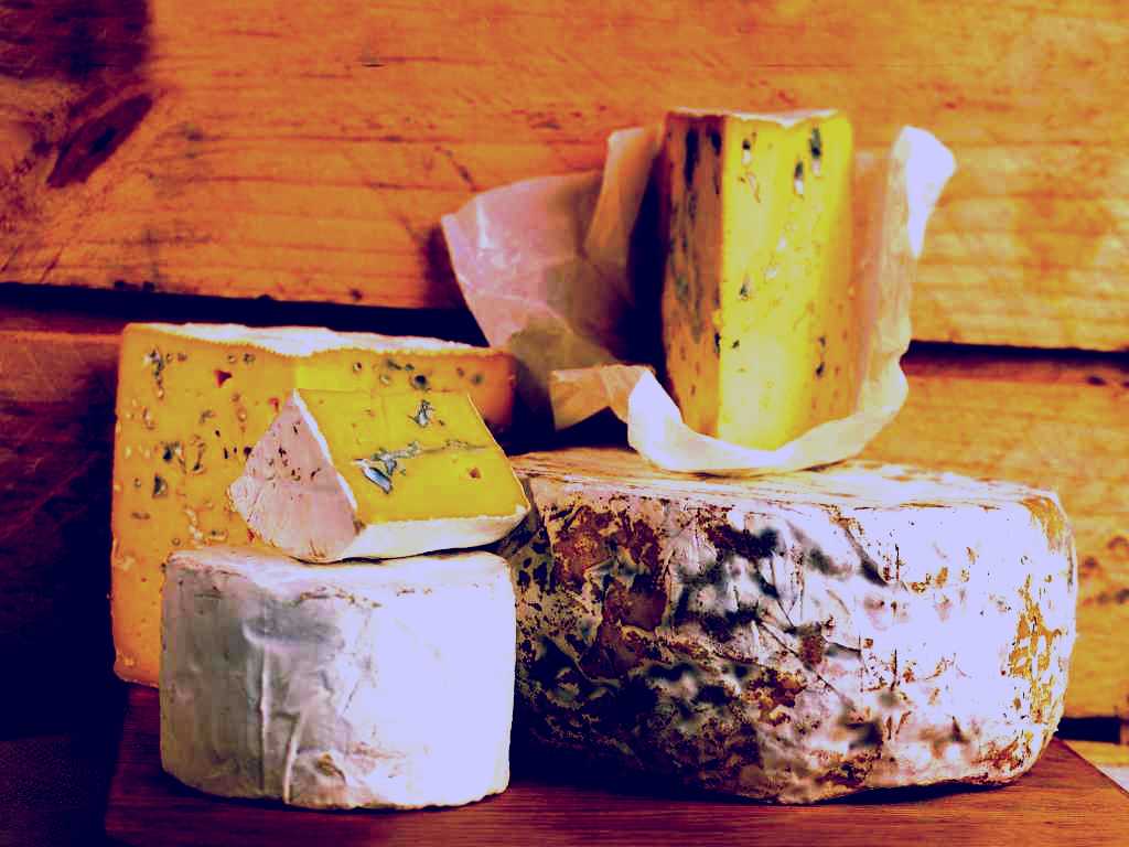 SubjectCoach | The Cheese Shop at The Makers' Workshop Burnie