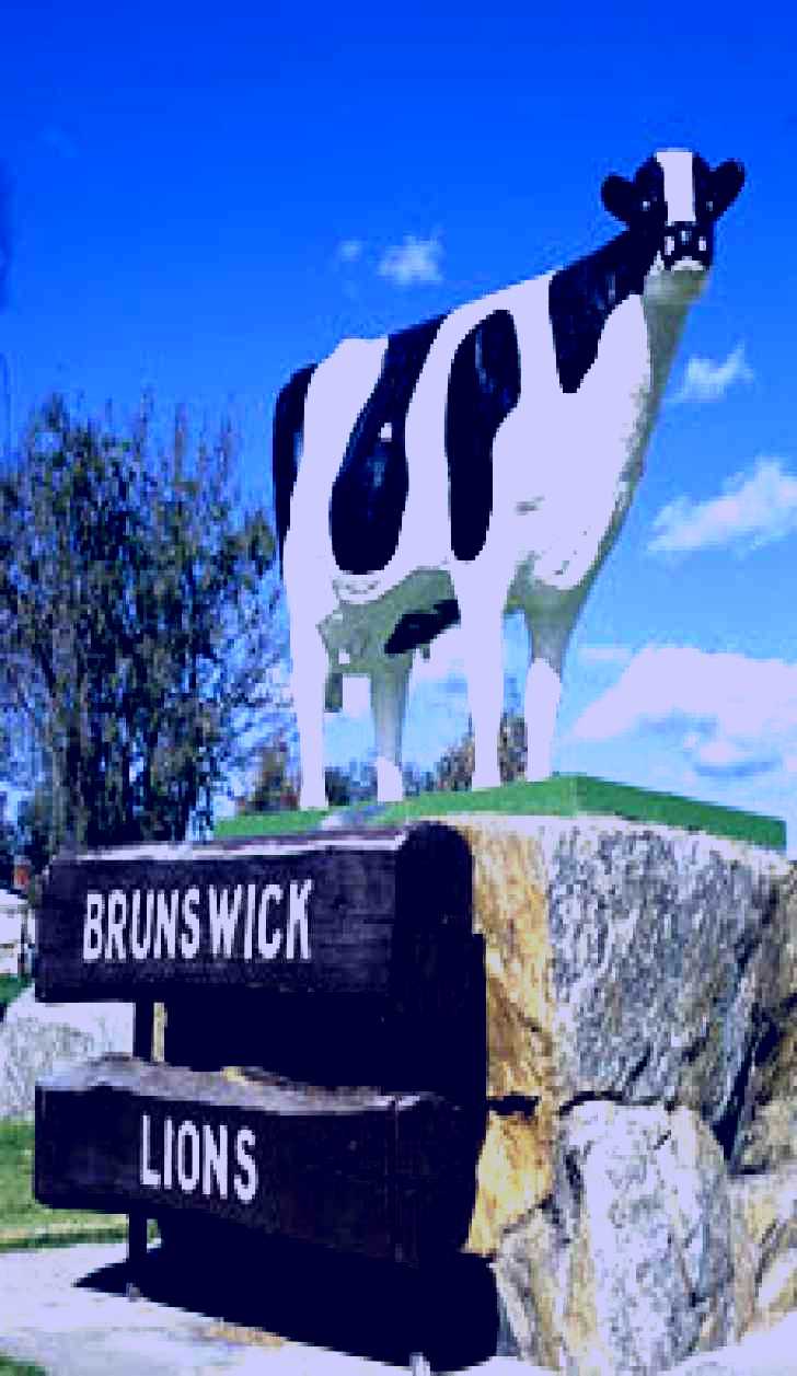 SubjectCoach | Brunswick Cow