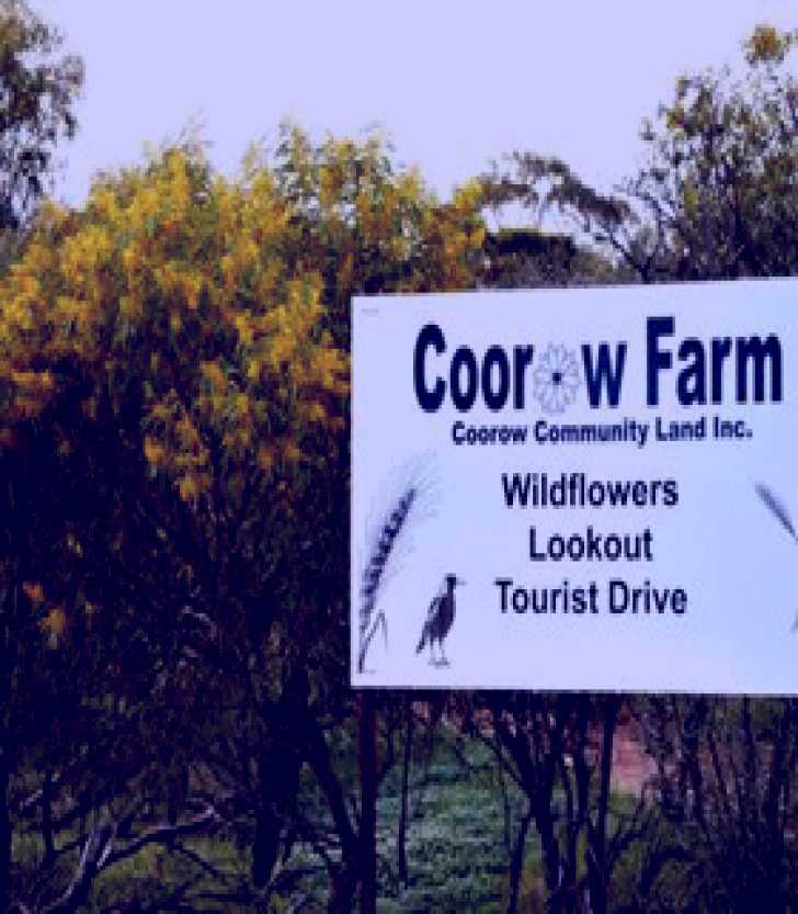 SubjectCoach | Coorow Farm Wildflower Trail