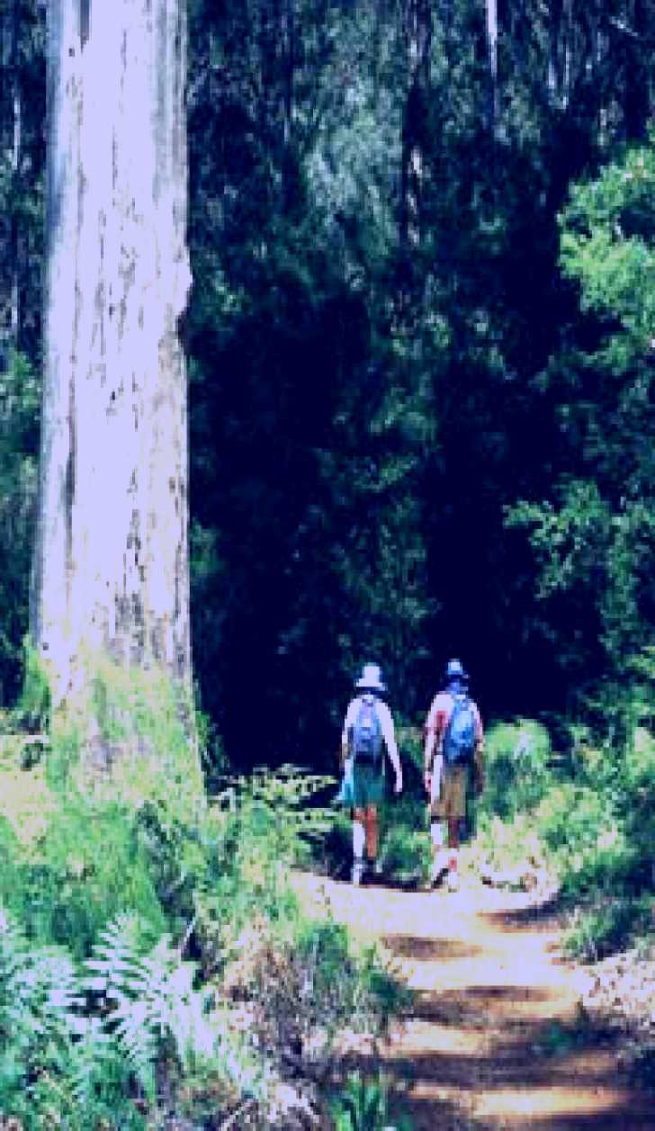 SubjectCoach | Gloucester Tree