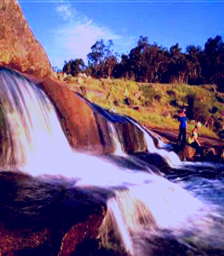 SubjectCoach | John Forrest National Park