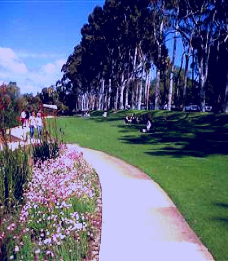 SubjectCoach | Kings Park Botanical Walks