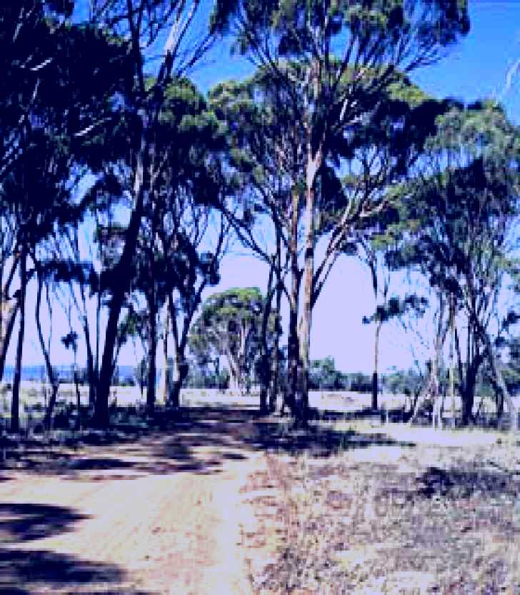 SubjectCoach | Lake Dumbleyung