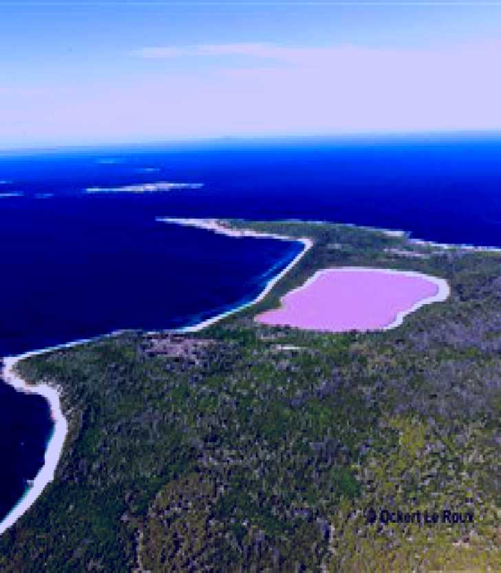 SubjectCoach | Lake Hillier