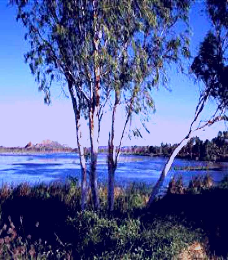 SubjectCoach | Lake Kununurra