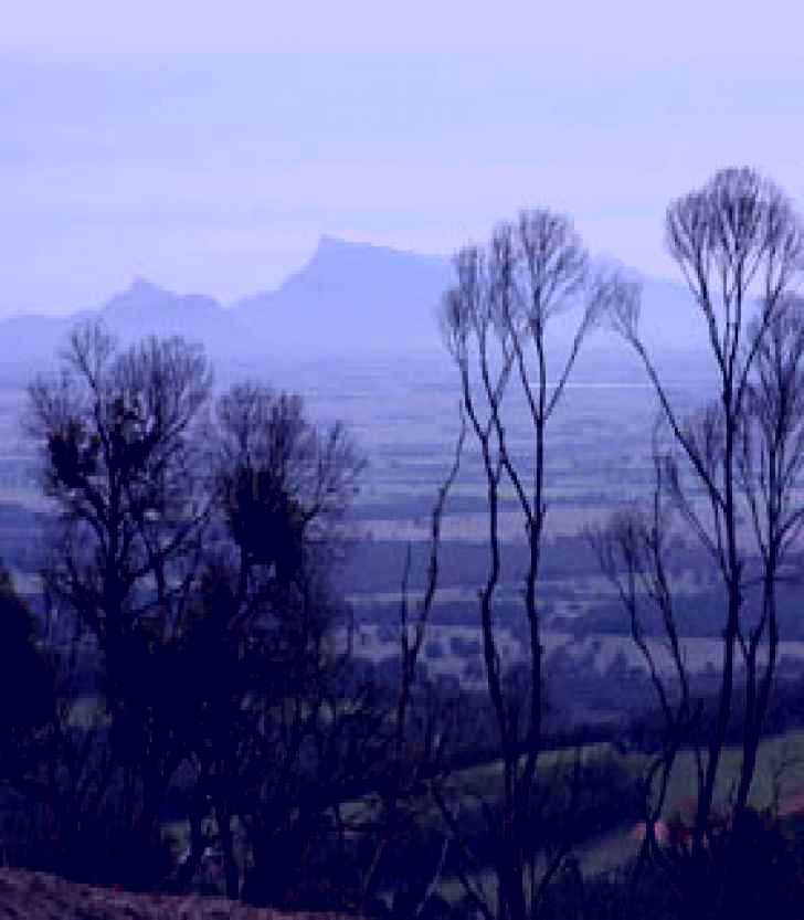 SubjectCoach | Nancy's Peak, Porongurup National Park