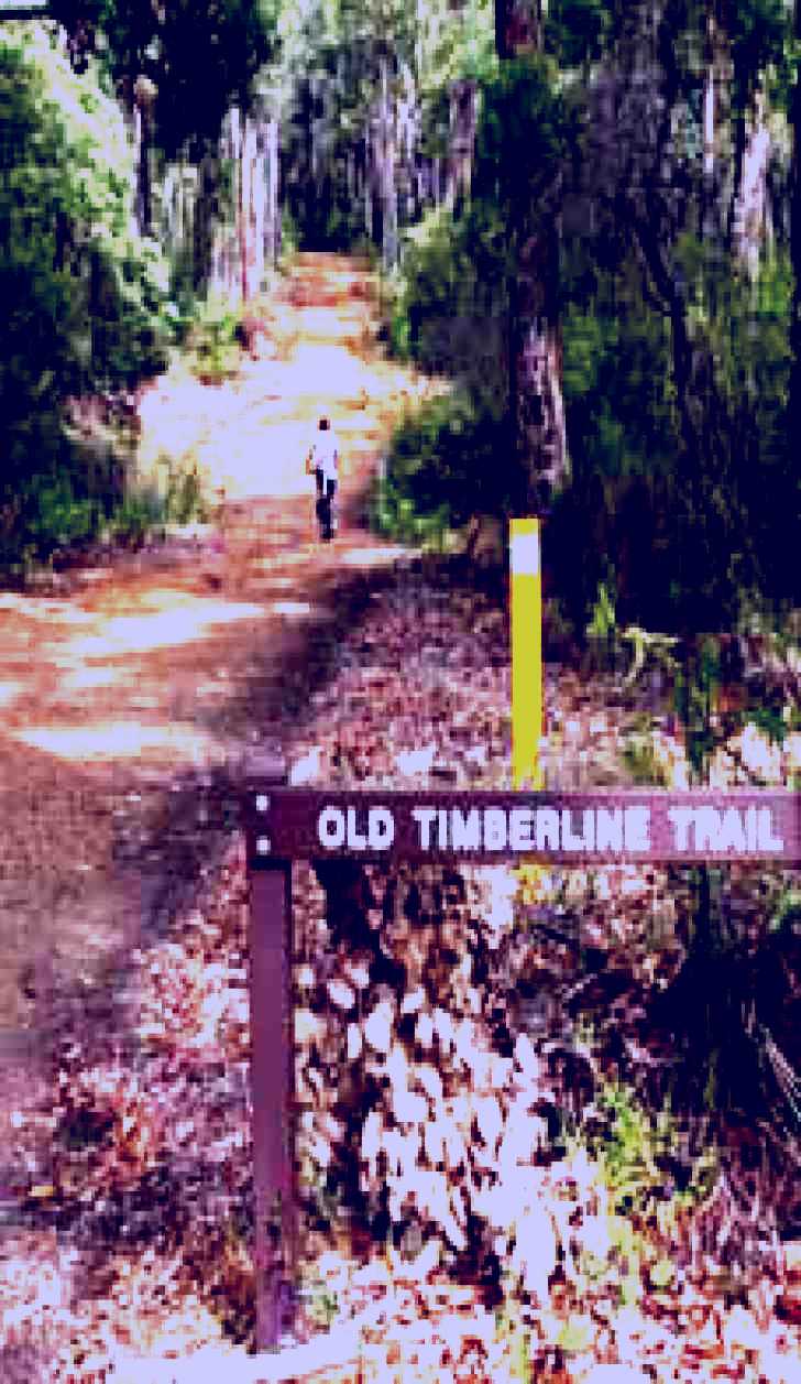 SubjectCoach | Old Timberline and Sidings Rail Trails