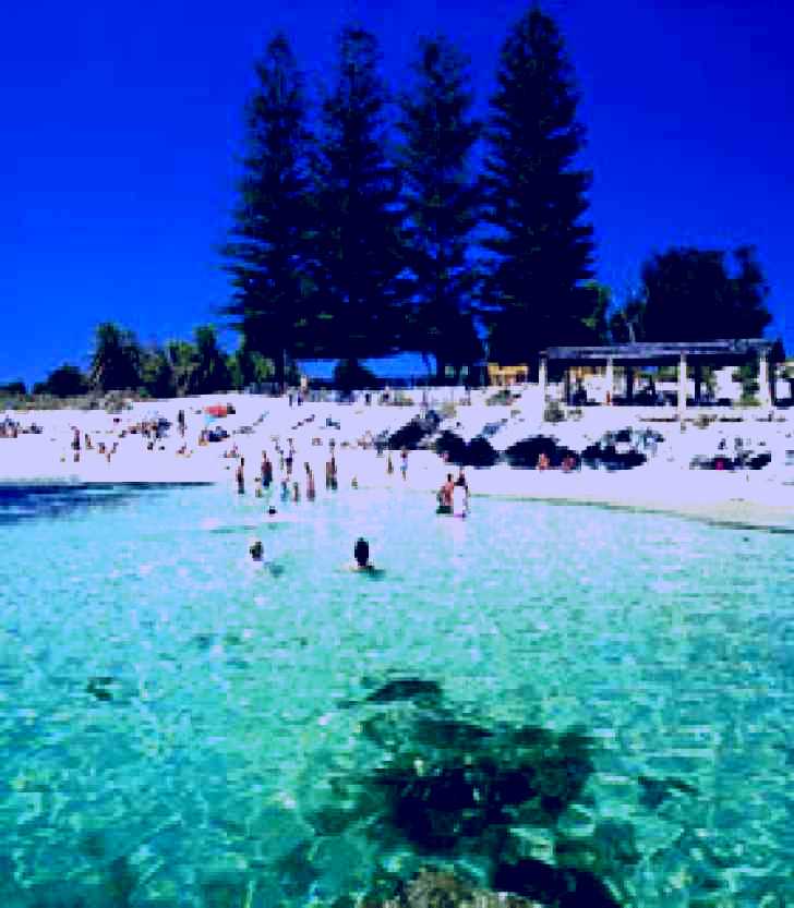 SubjectCoach | Rottnest Island