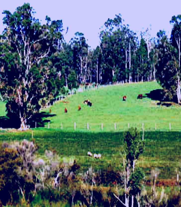 SubjectCoach | Scenic Drives - Bunbury Collie Donnybrook