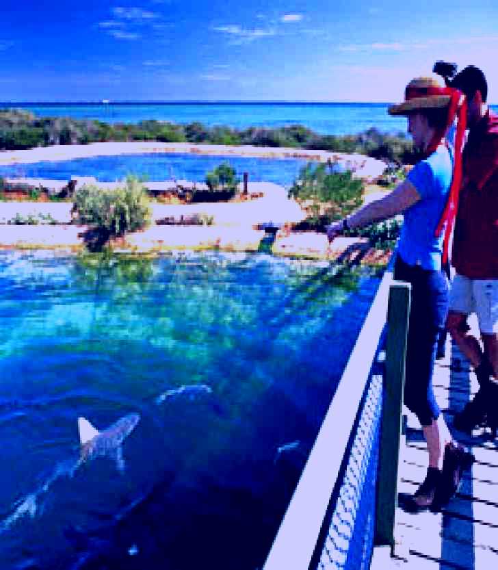 SubjectCoach | Shark Bay Marine Park