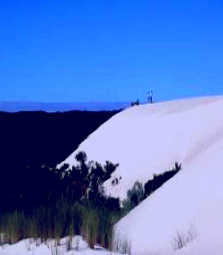 SubjectCoach | Yeagerup Sand Dunes