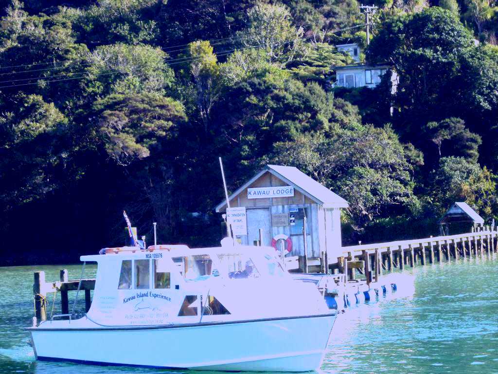 SubjectCoach | Kawau Island Experience