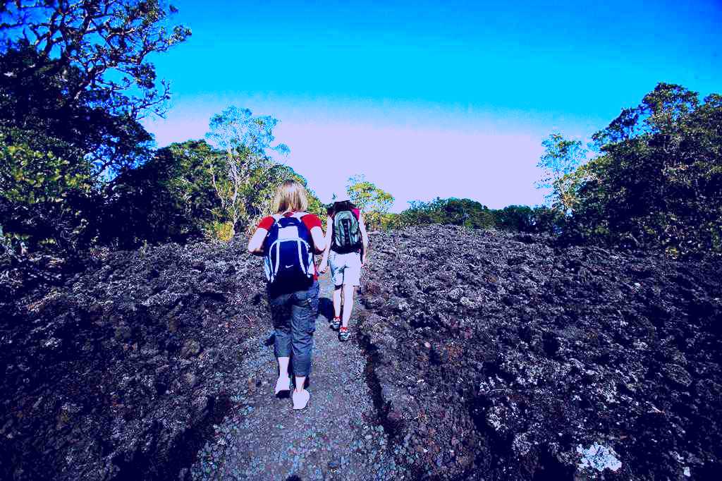 SubjectCoach | Fullers Rangitoto Volcanic Explorer Tour