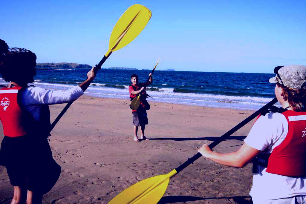 SubjectCoach | 1/2 Day Sea Kayak tour - Motukorea