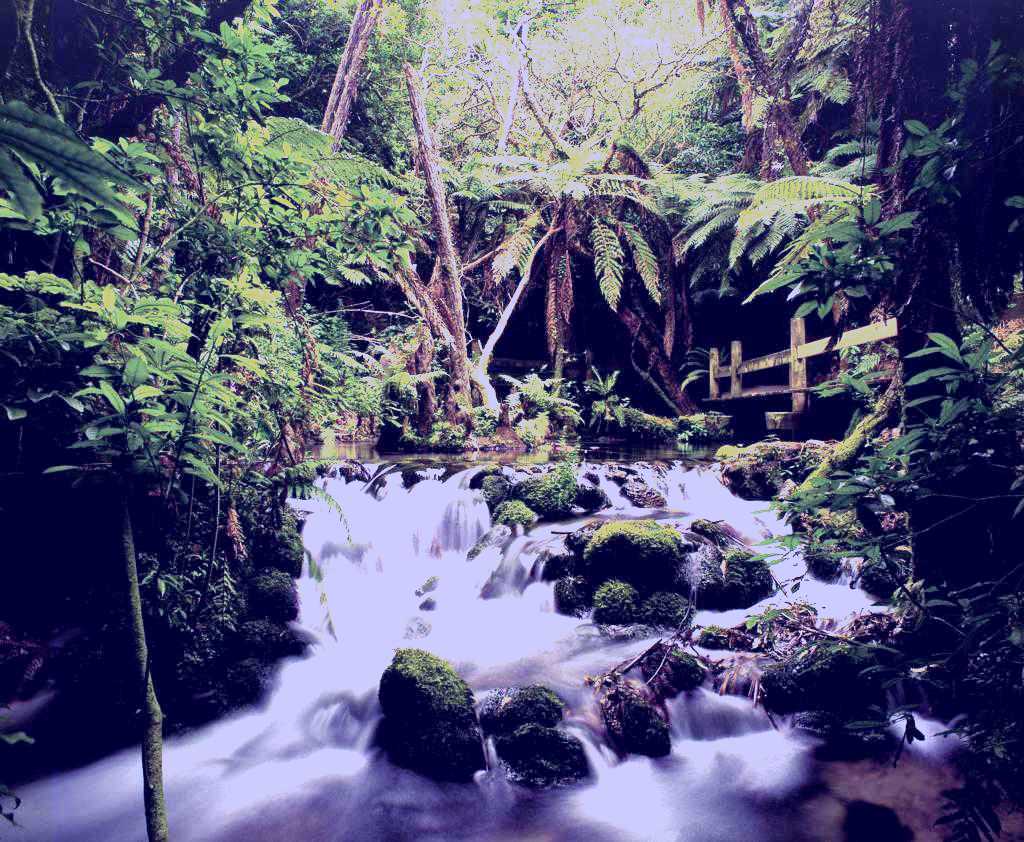 SubjectCoach | Milford Sound Day Tour from Queenstown