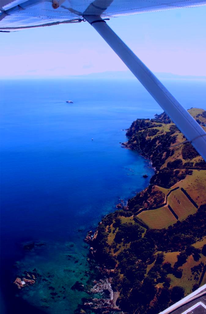 SubjectCoach | Auckland Seaplanes Scenic Flights