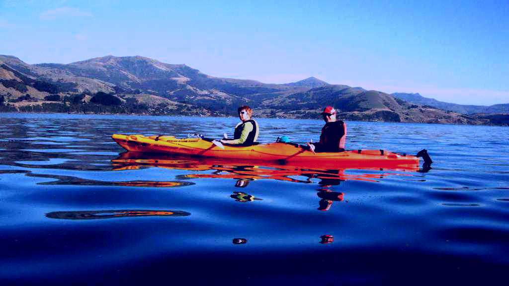 SubjectCoach | Akaroa Guided Kayak Safari