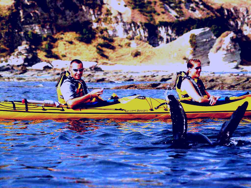 SubjectCoach | Kaikoura Kayaks