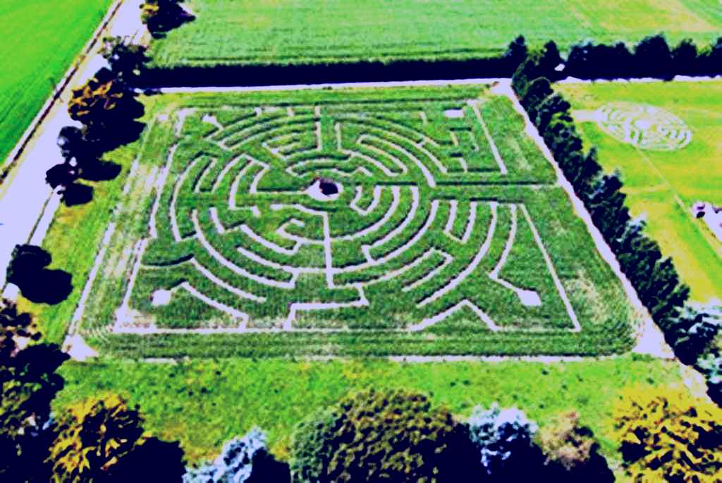 SubjectCoach | Tothill's Mazes