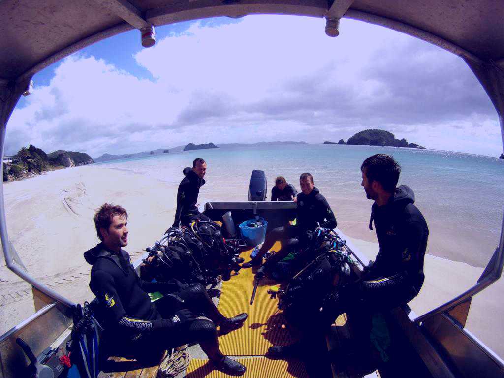 SubjectCoach | Cathedral Cove Dive & Snorkel