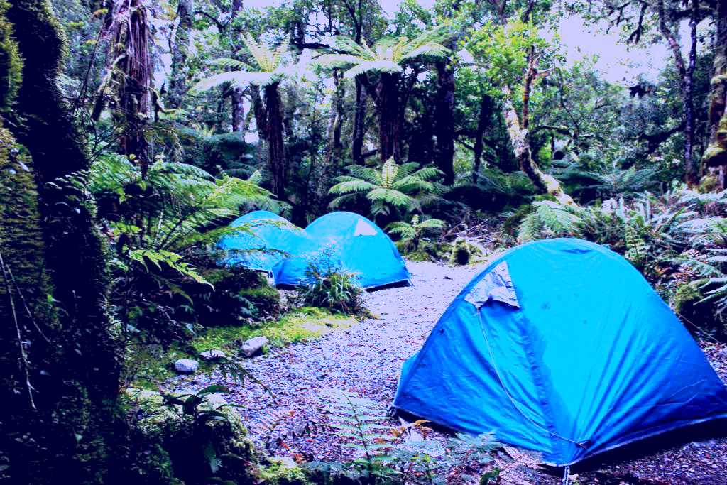 SubjectCoach | Go Orange Kayaks - Doubtful Sound