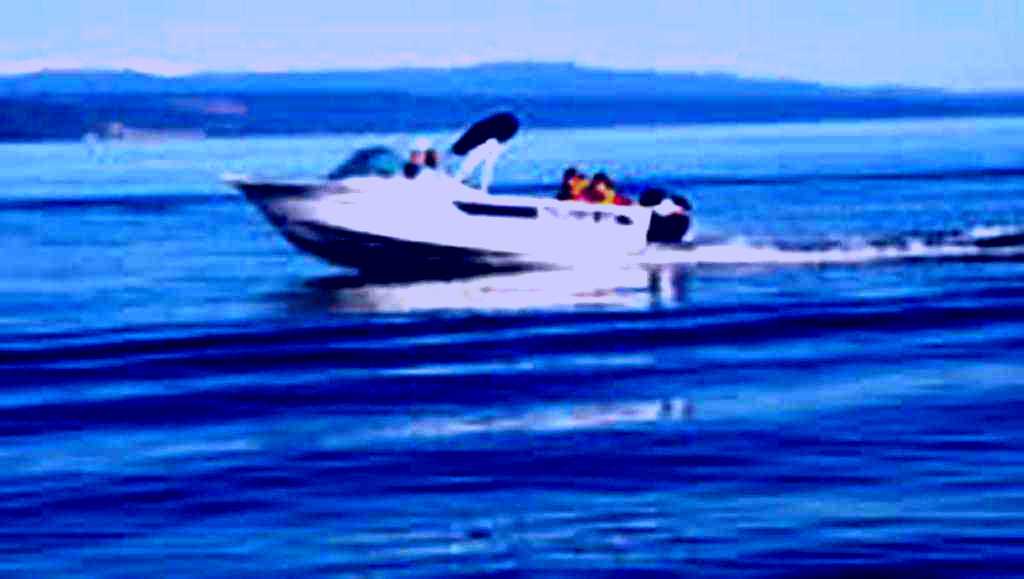 SubjectCoach | Self Drive Boat Hire - LAKeFUN Taupo